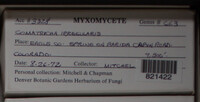 Image Associated With the Occurence